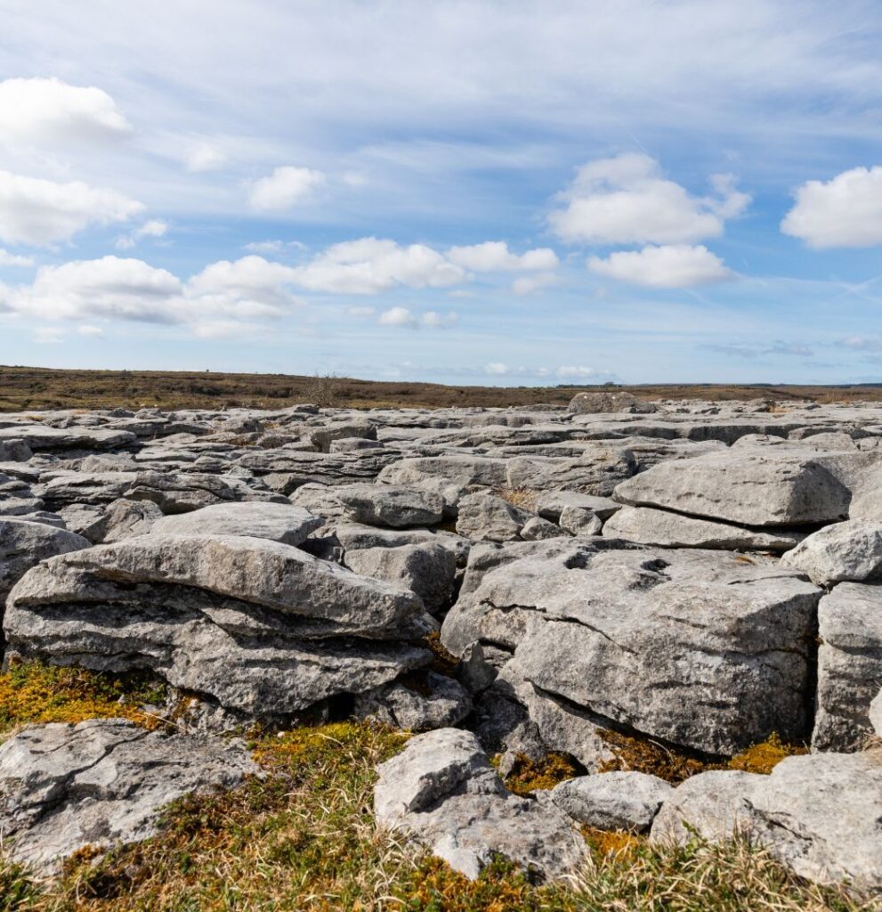 Burren National Sanctuary | Things to Do Galway | 4* Oranmore Lodge